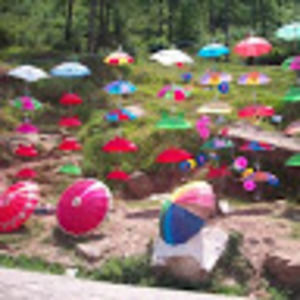 Meet your Posher, Fariha